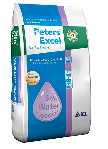 Peters Excel - Vos Capelle